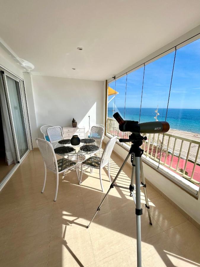 Dali Poniente Daire Benidorm Dış mekan fotoğraf